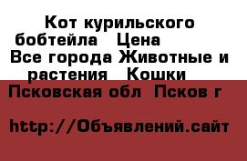 Кот курильского бобтейла › Цена ­ 5 000 - Все города Животные и растения » Кошки   . Псковская обл.,Псков г.